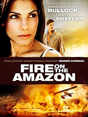 Fire on the Amazon