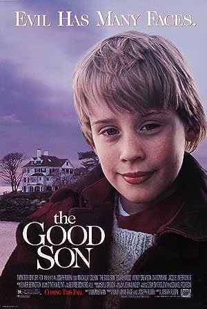 The Good Son