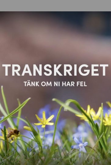 Transkriget