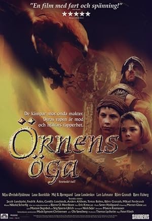 Ørnens øje