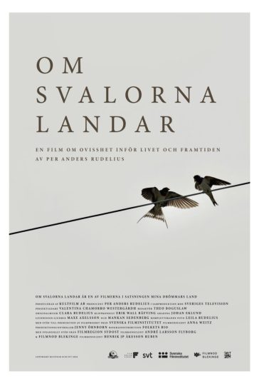 Om svalorna landar
